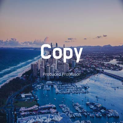 Copy by Professor