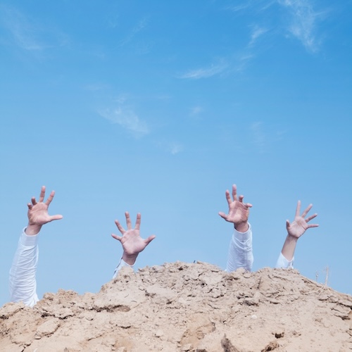 came back by imdakingad