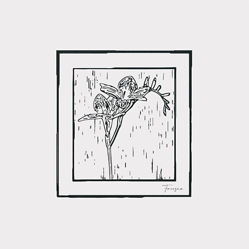 freesia by imdakingad