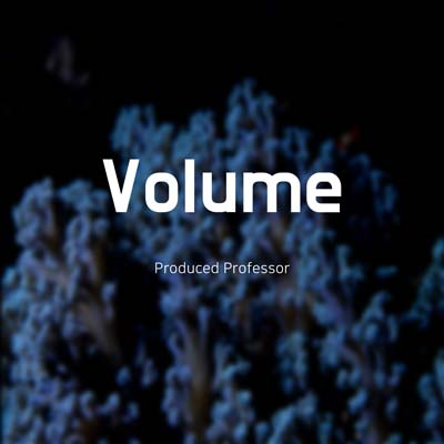 Volume by Professor