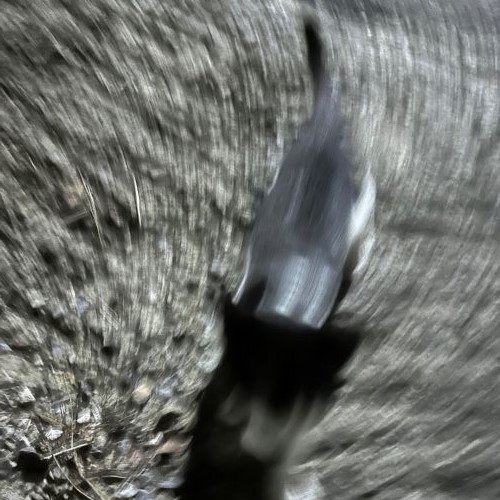 Practice1 by c3c3c3