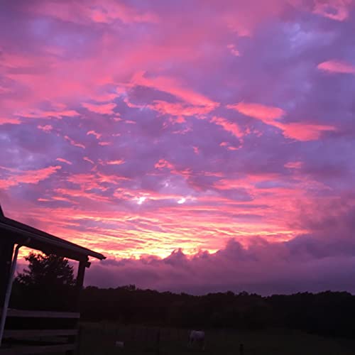 EASY hip hop type beat by HONG DUEUI