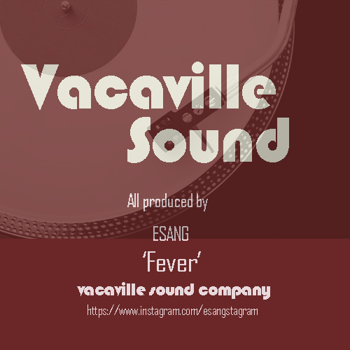 fever boombap (boom bap beat) nas hip hop type beat by vacavillesound