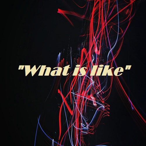 What is like by VERTEX BEAT