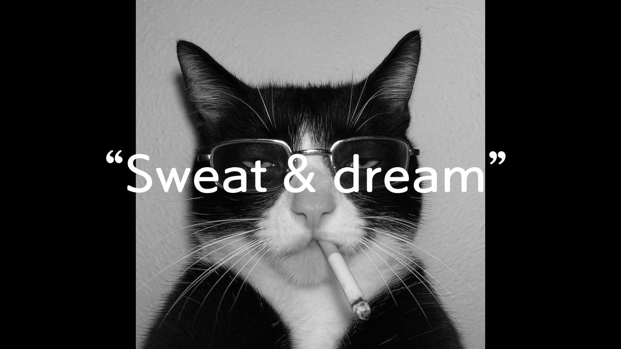 Sweat & dream by ZEU