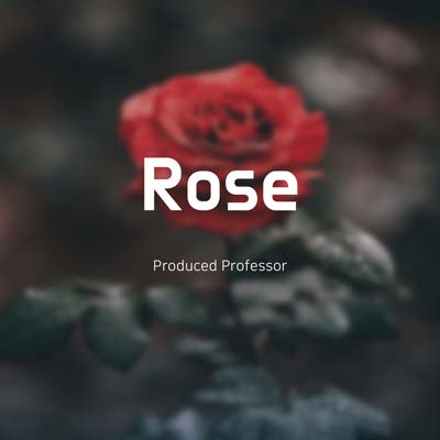 Rose by Professor