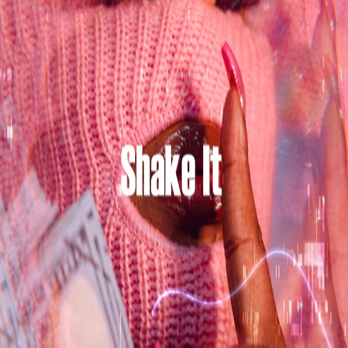 TYGA Type Beat - shake it | Free Type Beat |  Type Beat 2023 by VERTEX BEAT