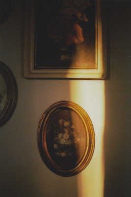 Life Mirror by SDDJ