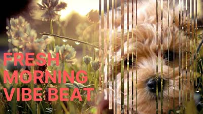 bright mood beat hip hop type beat by JB