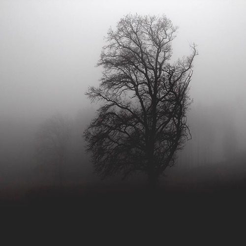 Palmtree hip hop type beat by 4etikk