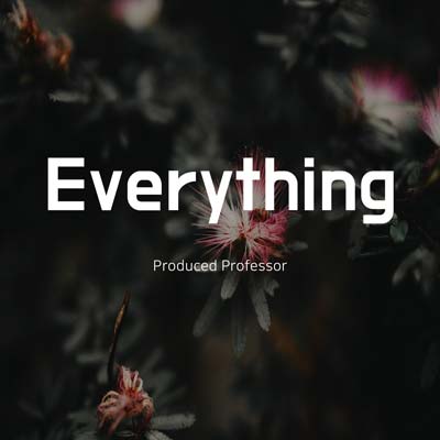 Everything by Professor