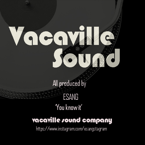 you know it (boom bap beat) boombap hip hop type beat by vacavillesound