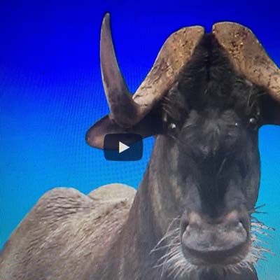 Nightmares hip hop type beat by prodsu