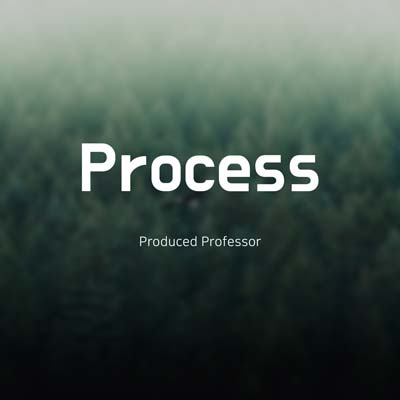 Process by Professor