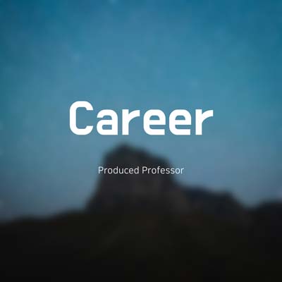Career by Professor