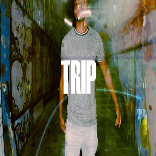 trip by VERTEX BEAT