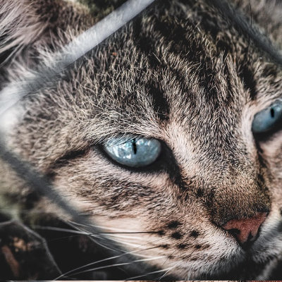 Tastify hip hop type beat by KitKat