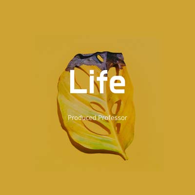 Life by Professor