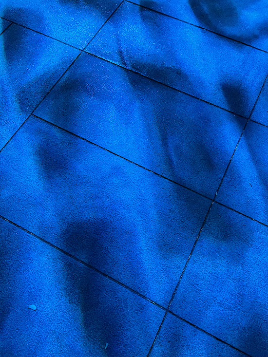 QAnt producer profile