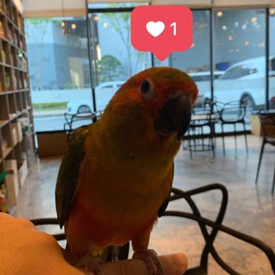 Paradigm hip hop type beat by Lucidstain