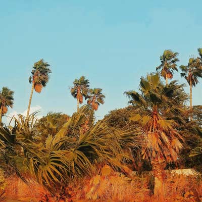 don't need more hip hop type beat by bella