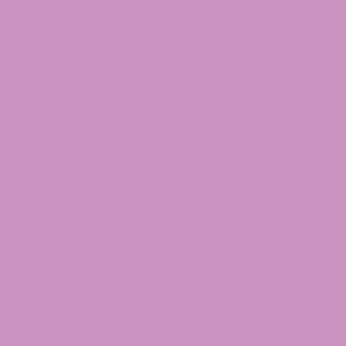 cream by HOP$$