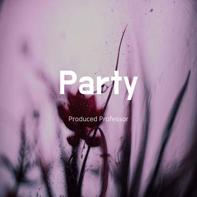 Party hip hop type beat by Professor
