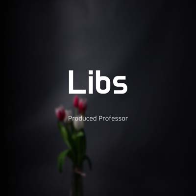 Libs by Professor